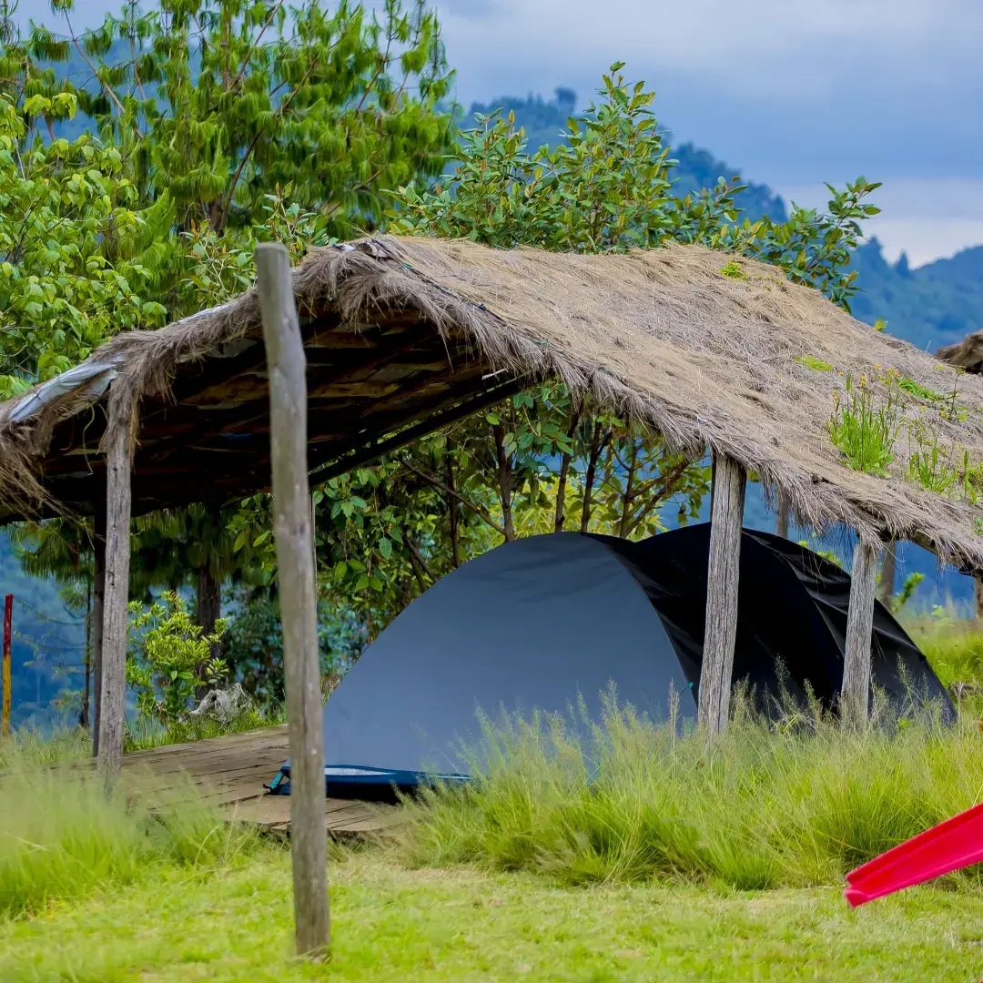 Lodges in Nyungwe National Park