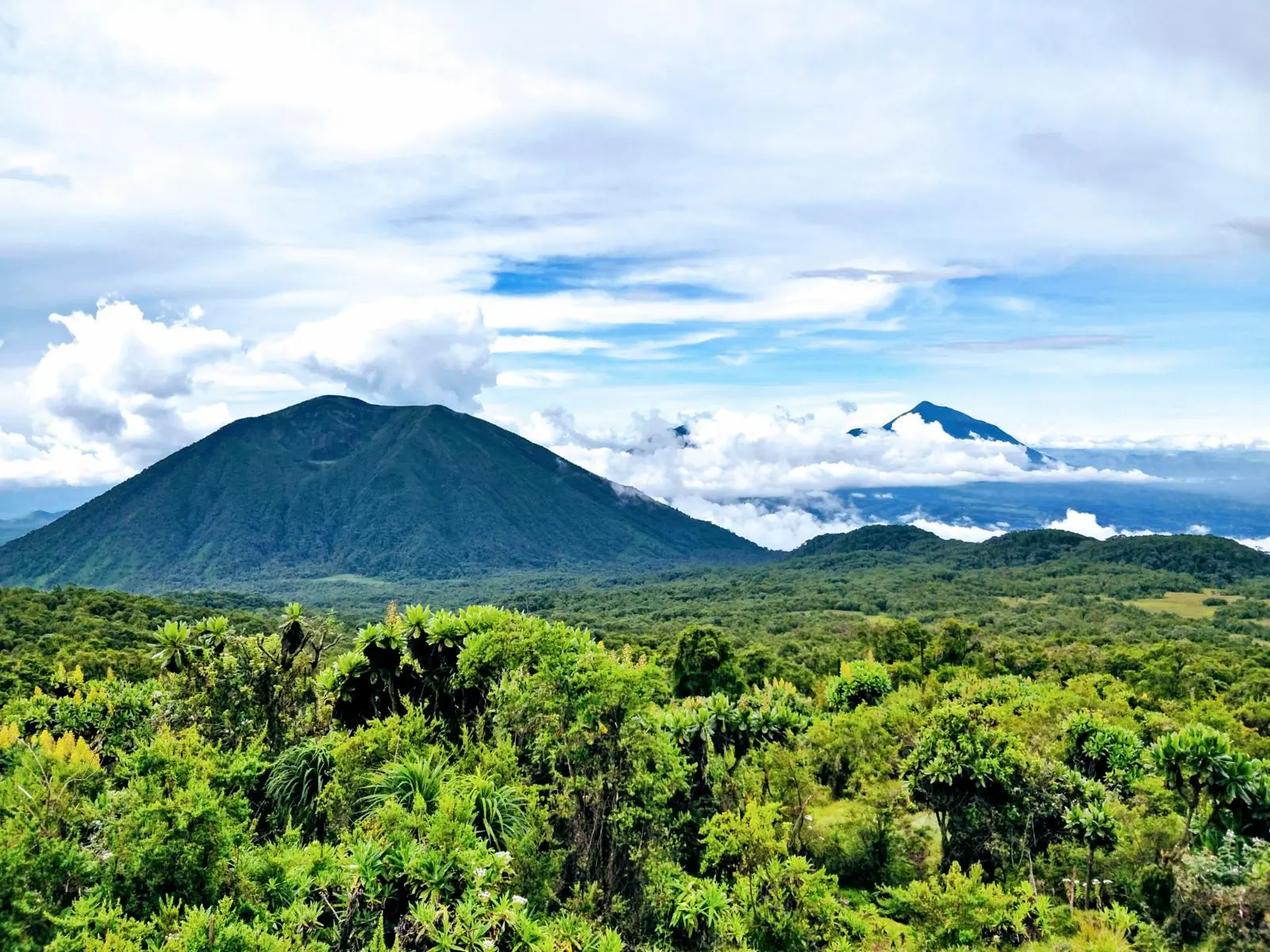 Mount Karisimbi