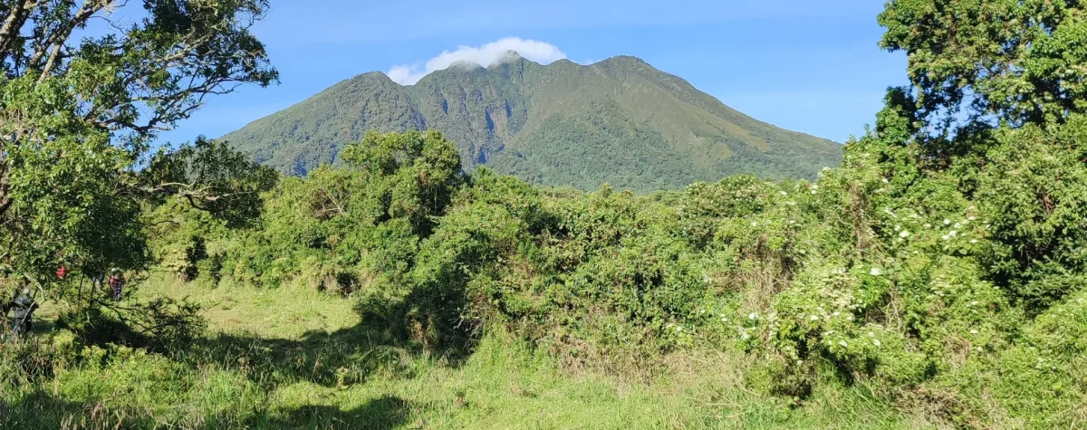 Mount Sabyinyo