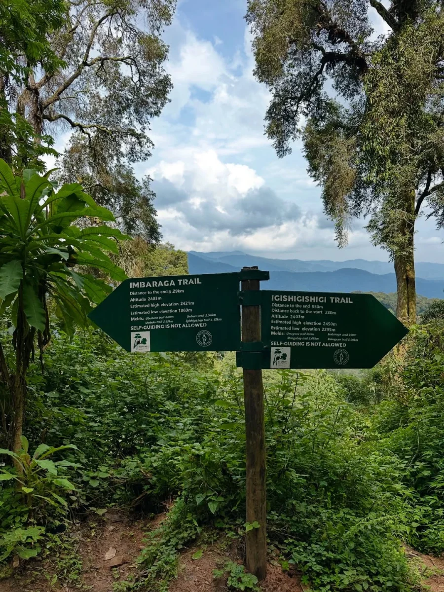 Nature Trails in Nyungwe Forest National Park