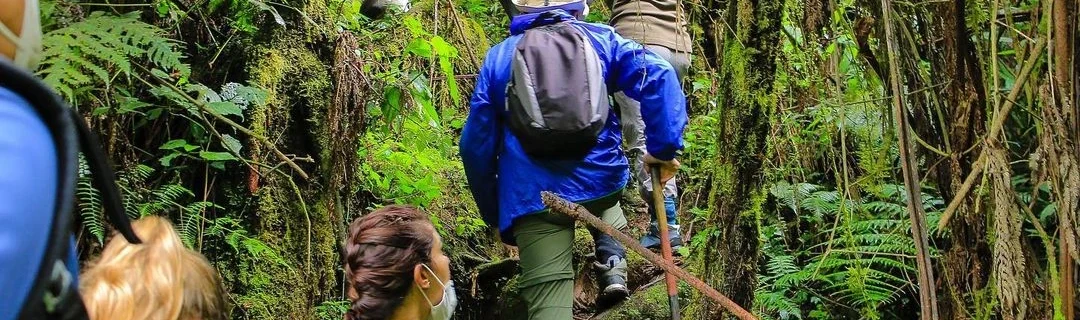 What to Pack for Rwanda