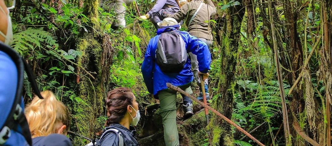 What to Pack for Rwanda
