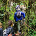 What to Pack for Rwanda