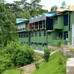 Chimpanzee Lodge