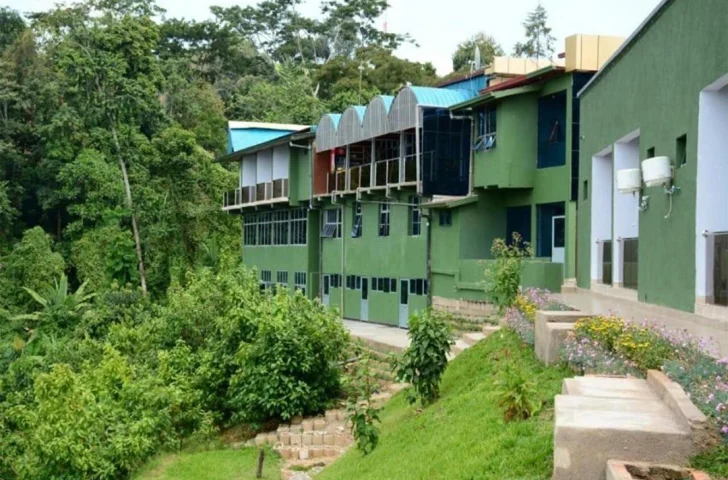 Chimpanzee Lodge