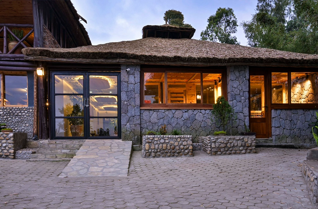 Da Vinci Gorilla Lodge
