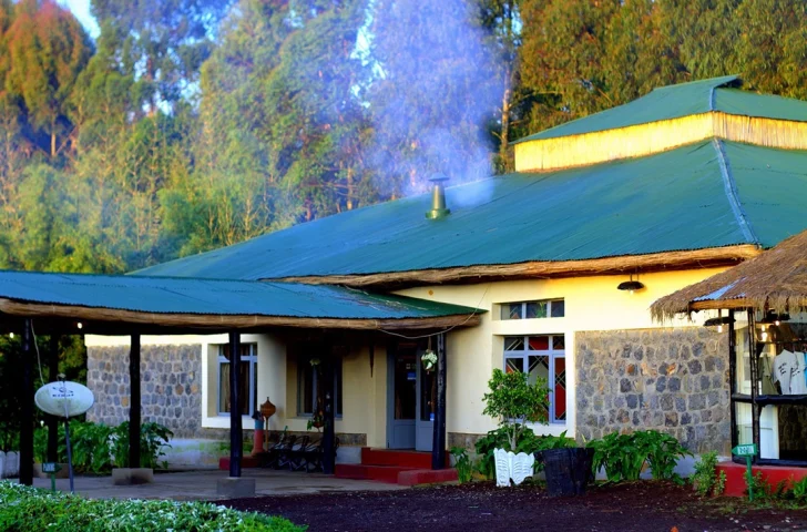 Le Bambou Gorilla Lodge