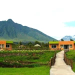 Mountain Gorilla View Lodge