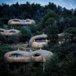 Wilderness Bisate