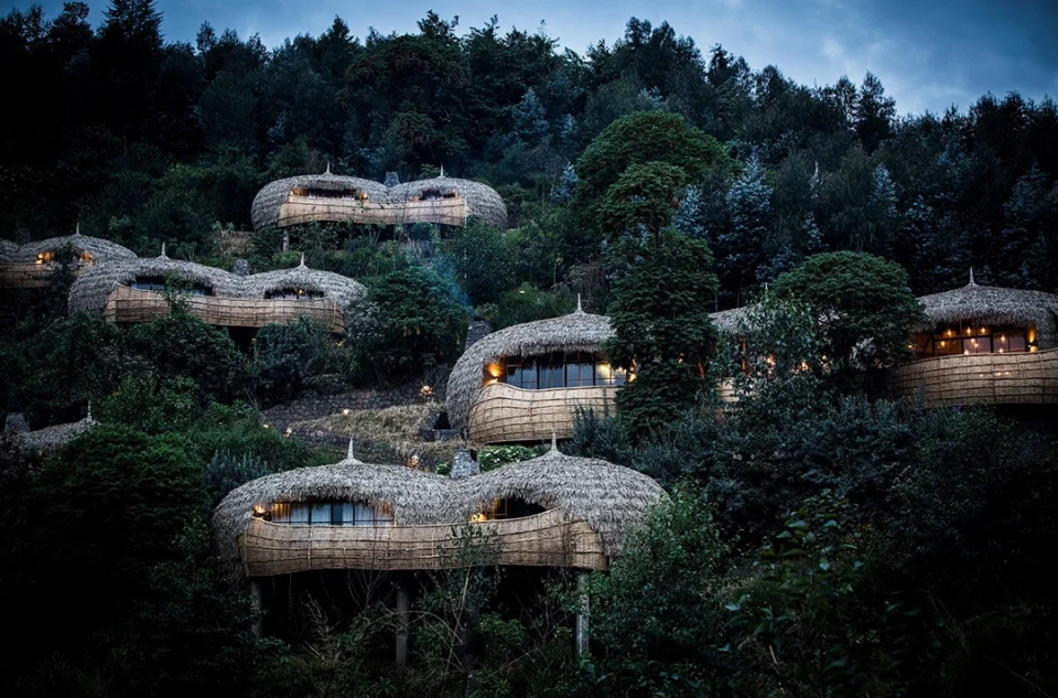 Wilderness Bisate