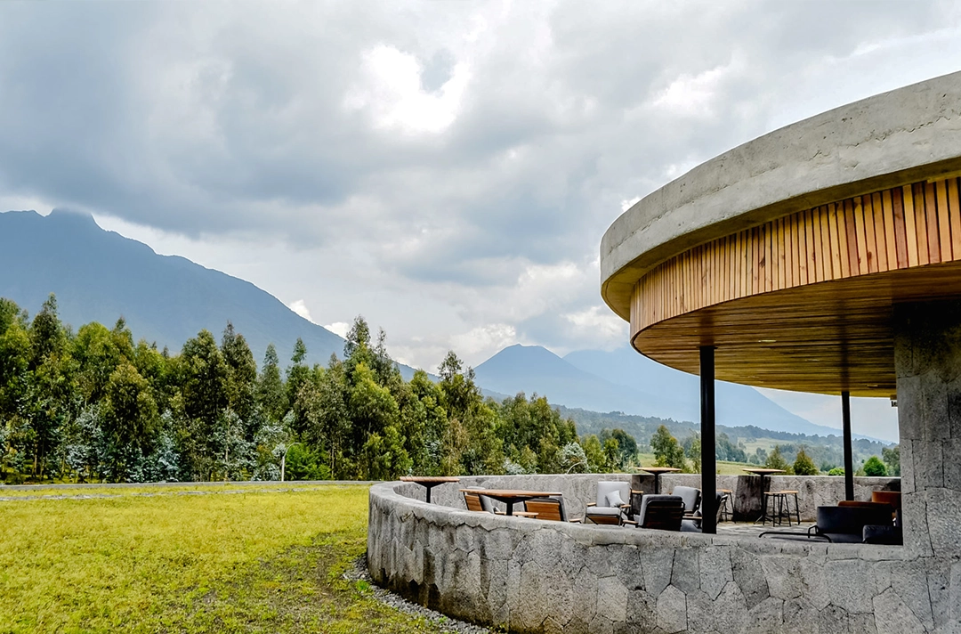 14 Days Luxury Primates & Wildlife 