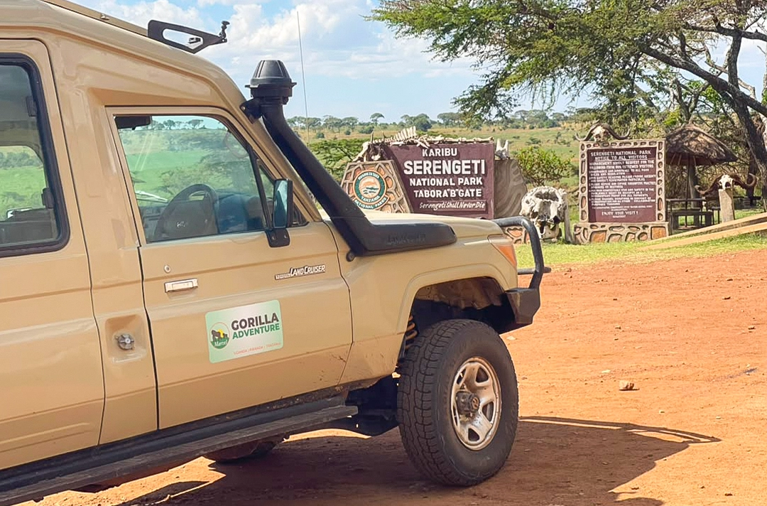 14 Days Rwanda & Tanzania Safari3