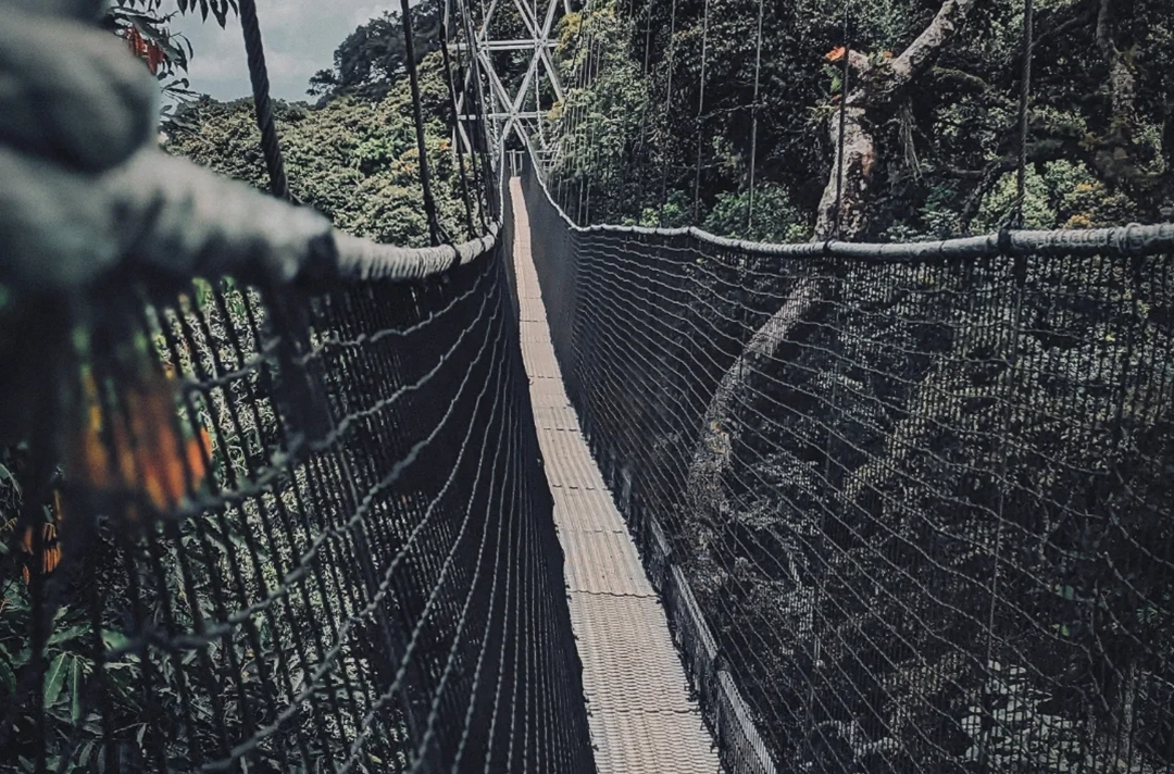 2 Days Nyungwe Budget Tour