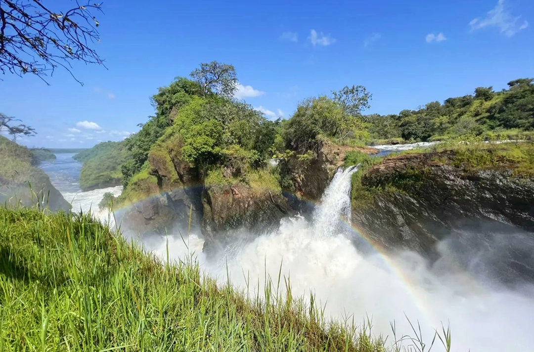 2-Week Uganda and Rwanda Safari