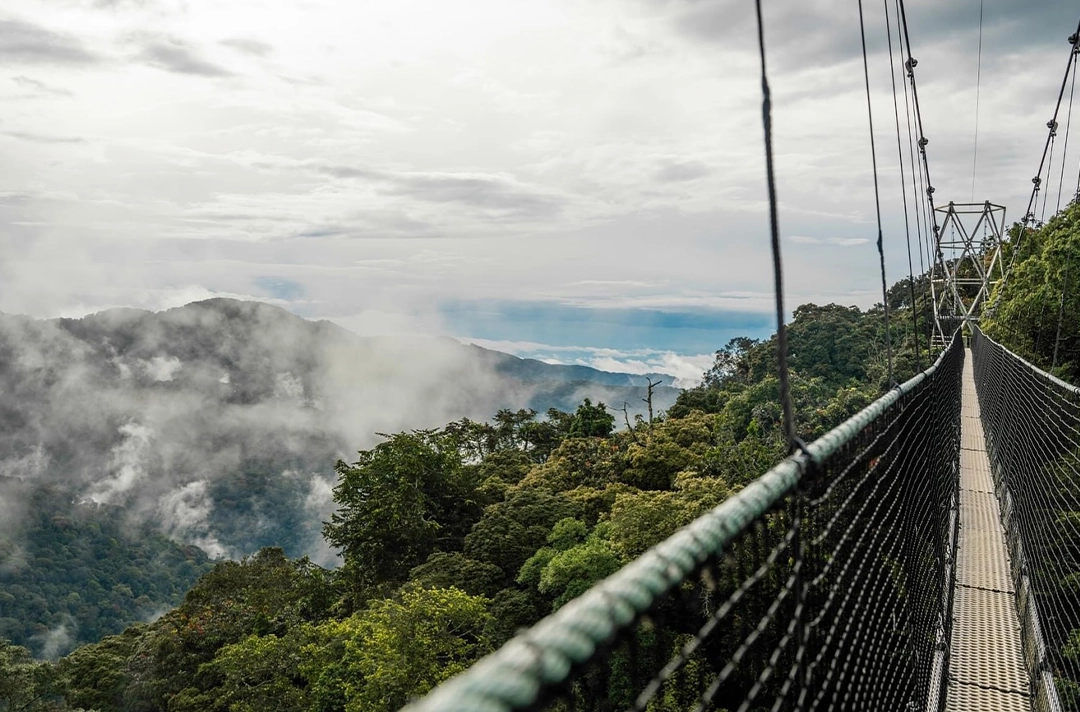 7 Days Best of Rwanda Tour