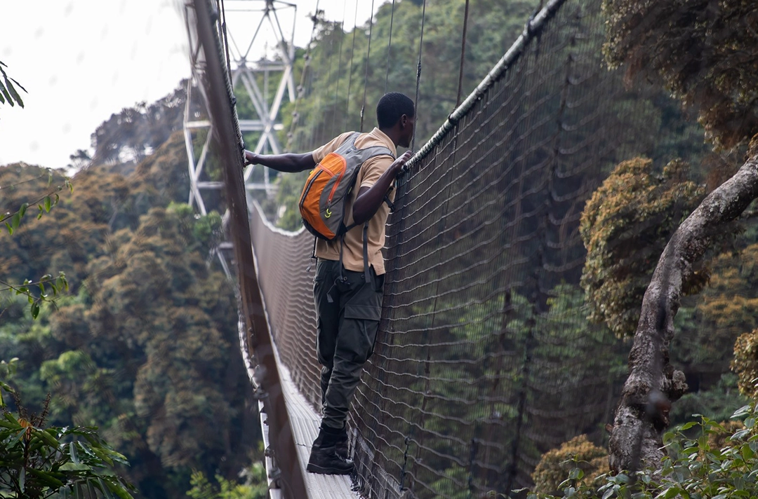 9 Days Rwanda Ultimate Safari