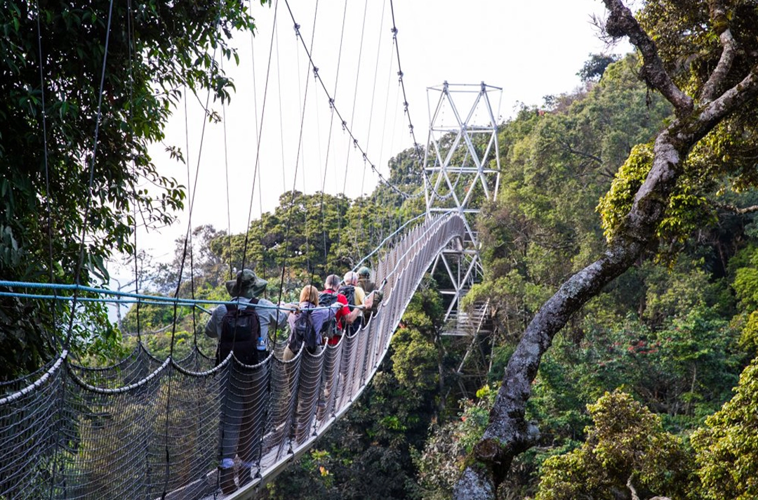Complete Uganda Rwanda Expedition