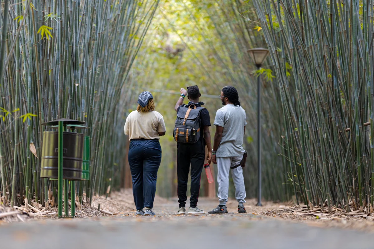 Nyandungu Eco-Park