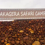 Akagera Safari Camp