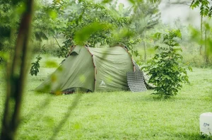 Akagera Transit Lodge5
