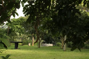 Akagera Transit Lodge6