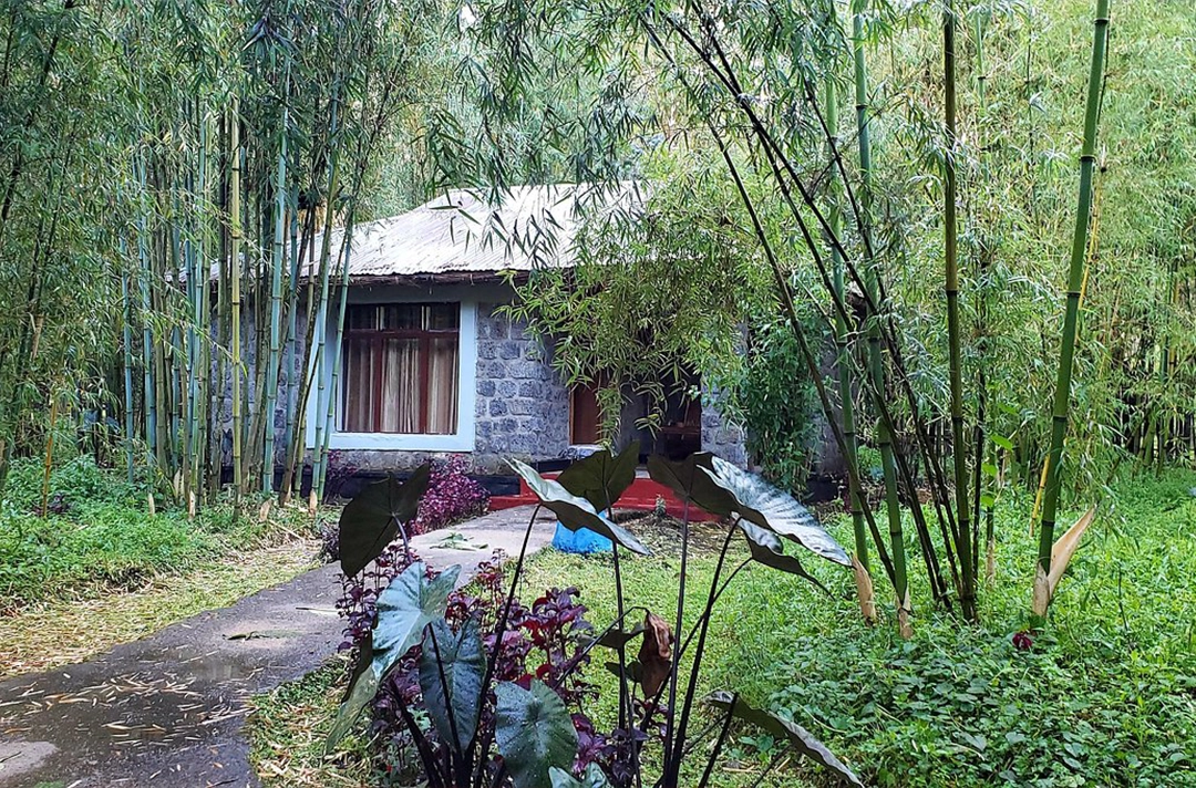Le bamboo gorilla lodge