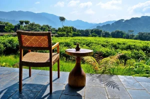 Nyungwe Forest Lodge1