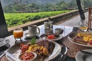 Nyungwe Forest Lodge2